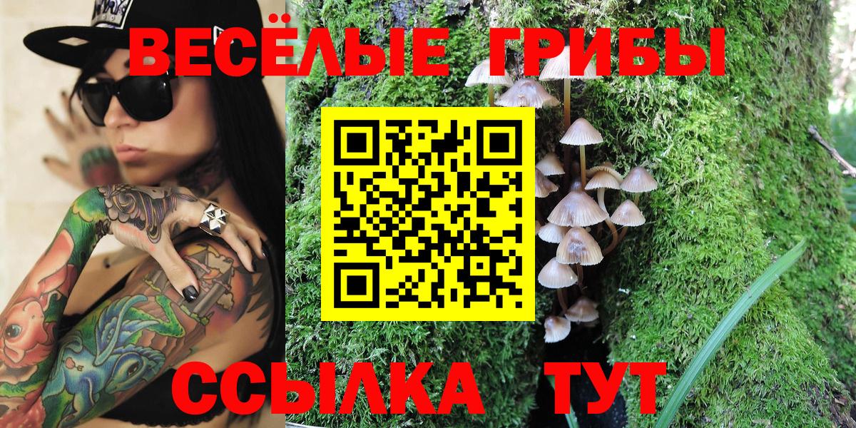 Псилоцибиновые грибы Psilocybe Конаково