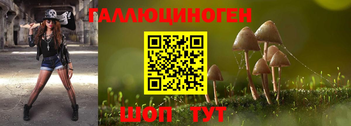Псилоцибиновые грибы MAGIC MUSHROOMS  Вход с VPN  Конаково 